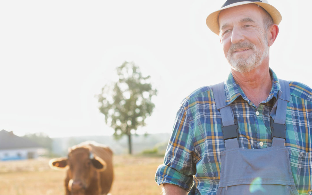 Überlassung der Landwirtschaft zu nicht kostendeckendem Pachtzins